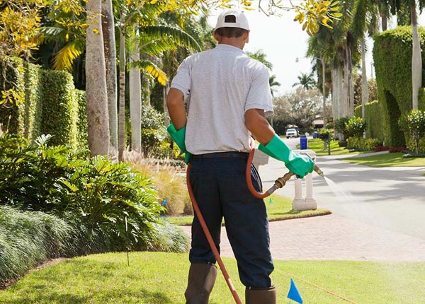 About Leighton AL Pest Control